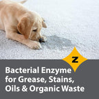 Pro-Grade Multi-Purpose Probiotic Enzyme Cleaner - Powerful Cleaning & Odor Eliminating Formula For Professional & Home Surfaces - 1 Gallon - Fragrance Free, 2 Pack