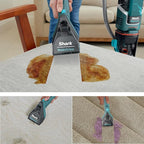 Shark R-EX205 CarpetXpert Carpet, Area Rug & Upholstery Cleaner with StainStriker, Built-in Spot & Stain Cleaner, Teal - Certified , EX200 Series (Renewed)