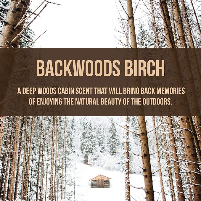 Arotags Washington Wooden Car Air Freshener - Long Lasting Backwoods Birch Scent Diffuses for 365+ Days - Includes Hanging Mirror Diffuser and Fragrance Oil - 100% American Made