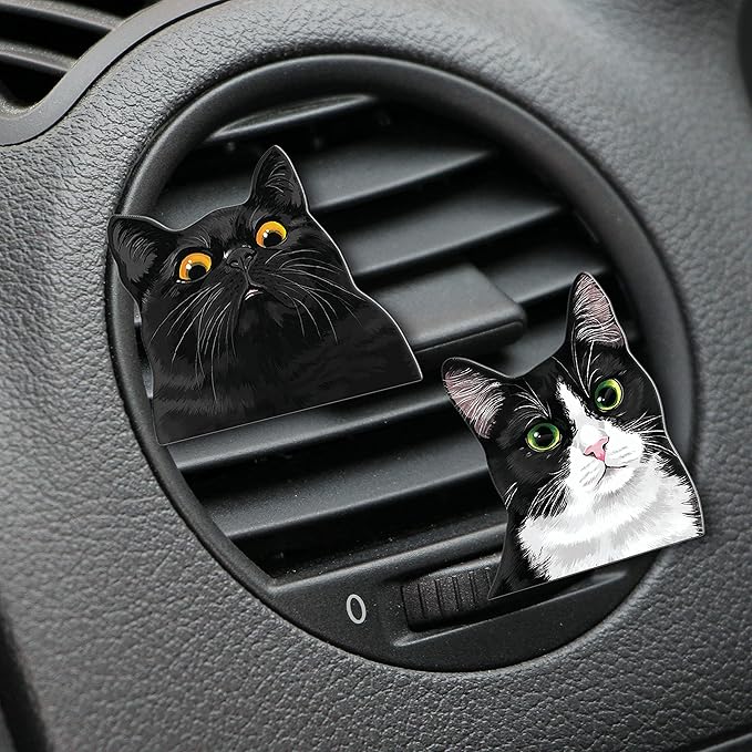WIRESTER Fresh Scented Car Air Freshener Vent Clip, Decorative Accessories, Interior Decoration for Cars