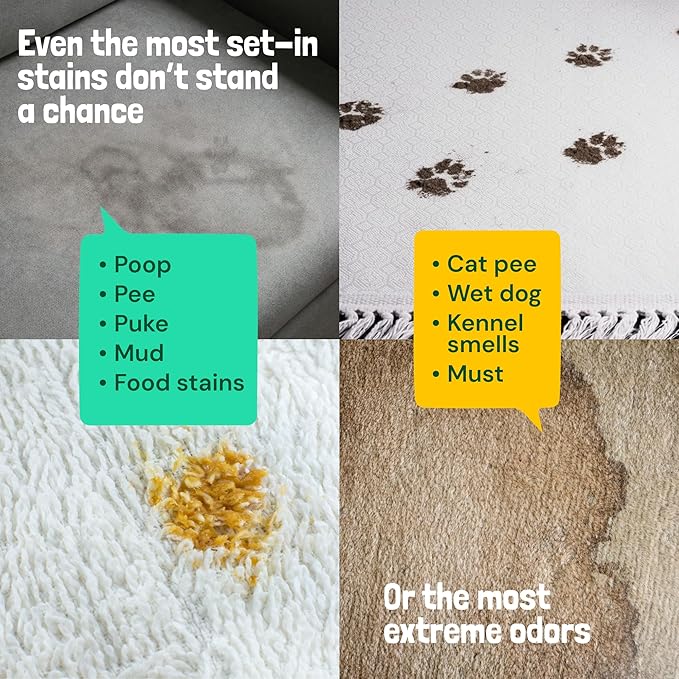 Sunny & Honey Turbo Pet Stain and Odor Remover - 40% More Enzymes - Enzyme Cleaner for Dog Urine and Poop on Carpets and Furniture - Pet Carpet Cleaner Spray (32fl oz Mint)