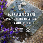 &J Fragrance Oil Tropical Set | Banana, Coconut, Awapuhi and Seaberry, Pineapple, Mango, Ocean Breeze Candle Scents for Making, Freshie Scent, Soap Making Supplies, Diffuser