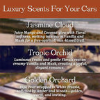 Car Air Freshener - Wood Air Freshener Refill - INCLUDED Premium Leather Clips - Car Odor Eliminator for Visor Clip - Long Lasting Scent - Vehicle Scent Diffuser for Cabin, Truck & SUVs - Pack of 3