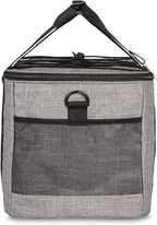 Amazon Basics Soft Insulated Cooler