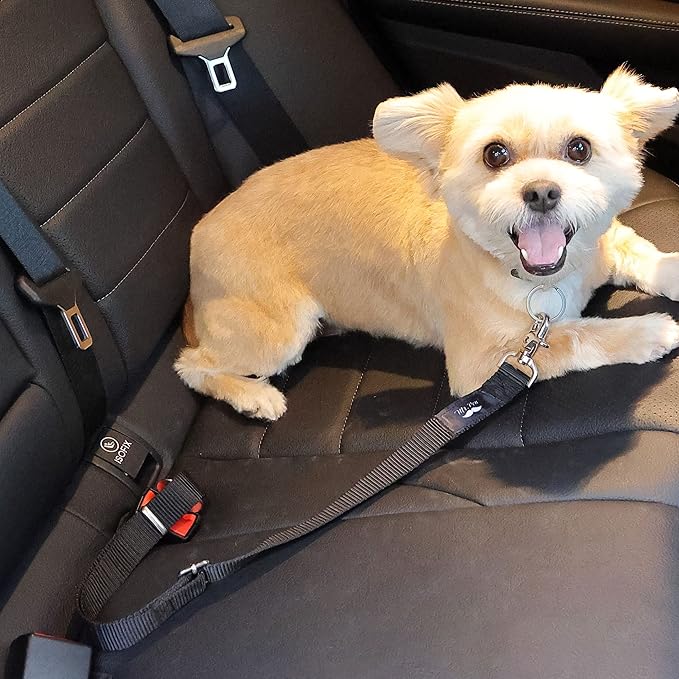 Mr. Pen- Adjustable Dog Seat Belt for Car, 2 Pack, Pet Safety Harness, Car Leash