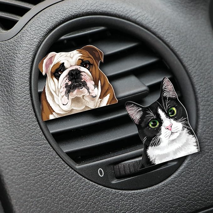 WIRESTER Fresh Scented Car Air Freshener Vent Clip, Decorative Accessories, Interior Decoration for Cars