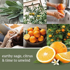 Yankee Candle Scent Plug Refill, Sage & Citrus (Pack of 4)