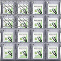 Activated Charcoal Odor Absorber for Strong Odor, Basement, Cars, Closets, Shoes, Smoke. 16 Pack Bamboo Charcoal Air Purifying Bags Deodorizer Odor Eliminator for Home