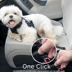 Duke & Dixie Dog Seat Belt Pet Dog Cat Car Seatbelt Safety - Adjustable Harness Safety Belts Pet Leash - Heavy Duty Nylon - Universal Fit (2 Pack Elastic Leash) (2 Pack Elastic seat BLT Leash)