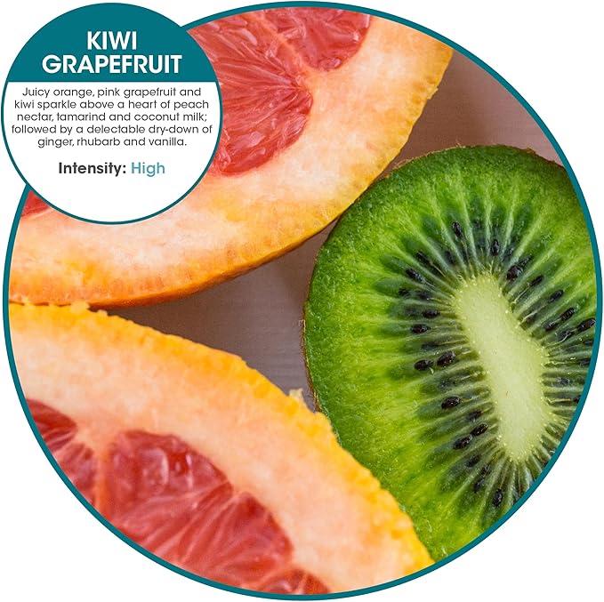 Fresh Products Eco Bowl Clip Air Freshener Versatile Design Toilet Freshener Trash Freshener Chemical Free Natural Oils Discreet Lasts 30 Days Made in the USA Kiwi Grapefruit 12 pk