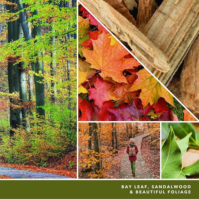 Yankee Candle ScentPlug Refill, Autumn Nature Walk (Pack of 6)