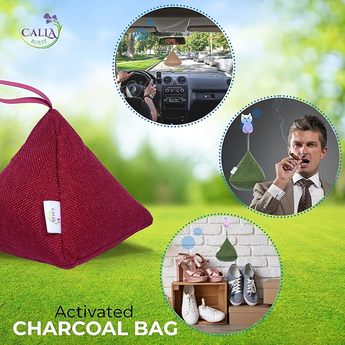 4 Pack Bamboo Charcoal Air Purifier Bags 200 Grams Each - Activated Charcoal Odor Absorber for Car, Pets & Closet - Natural Freshener for Home, Eco-Friendly & Reusable Charcoal Bags (Fall Colors)