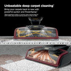 Shark CarpetXpert HairPro | Upright Carpet & Area Rug Cleaner | Carpet Shampooer | Perfect for Pets, Hair Pickup & Tough Odor Removal | Magenta | EX221BRN