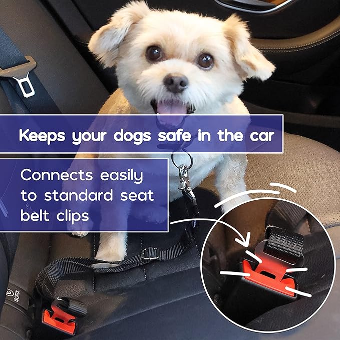 Mr. Pen- Adjustable Dog Seat Belt for Car, 2 Pack, Pet Safety Harness, Car Leash