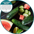 Fresh Products Eco Bowl Clip Air Freshener Versatile Design Toilet Freshener Trash Freshener Chemical Free Natural Oils Discreet Lasts 30 Days Made in the USA Cucumber Melon 12 pk