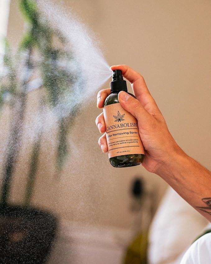 Cannabolish Wintergreen Smoke Odor Eliminator Spray and Air Freshener, 8 fl. oz, Natural Ingredients