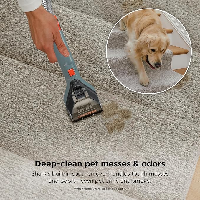 Shark CarpetXpert | Upright Carpet, Area Rug & Upholstery Cleaner | Carpet Shampooer with Handheld Spot & Stain Eliminator | 3 Cleaning Tools | Slate Green | EX151