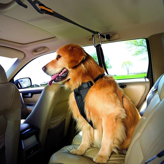 Kurgo Auto Zip Line - Backseat Zipline Harness for Car Travel - Dog Car Accessory for Safe Rides - Adjustable Pet Tether - Durable Nylon Zipline Leash Travel System