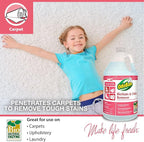 OdoBan Professional Cleaning and Odor Control Solutions, Ready-to-Use Biostain and Odor Remover, Made in the USA, 32 oz Spray Bottle and 1 Gallon