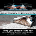 Shark R- EX201 CarpetXpert Upright Carpet, Area Rug & Upholstery Cleaner with StainStriker, Cyan - (Renewed)