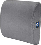 Sealy Ergonomic Lumbar Support Pillow for Office Chair and Car Seat - Memory Foam Back Support Lumbar Pillow, Premium Cushion Chair Support for Lower Back Pain Relief and Versatile Use (Gray)