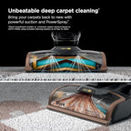Shark CarpetXpert HairPro | Upright Carpet, Area Rug & Upholstery Cleaner | StainStriker Handheld Tough Stain Remover & Onboard Self Clean | Pet Hair Pickup & Odor Removal | 4 Tools | Copper | EX301