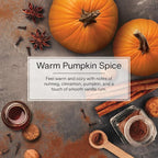 Little Trees Auto Air Freshener, Hanging Card, Warm Pumpkin Spice, 3 Pack