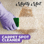 Mighty Mint Carpet Spot Cleaner, Spray to Remove Carpet Stains Instantly, Natural Peppermint Scent, 16oz