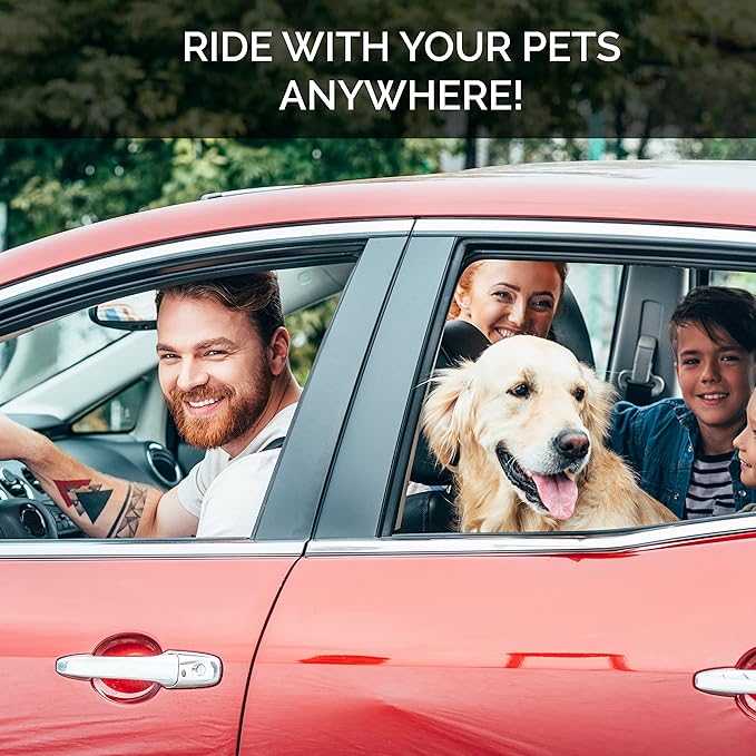 Dog Seat Belt Pet Dog Cat Car Seatbelt Safety Tether - 2 Pack - Adjustable Harness Belts Pet Leash - Heavy Duty Nylon Seatbelts - Universal Fit Cars Truck SUV