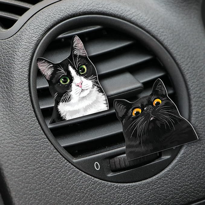 WIRESTER Fresh Scented Car Air Freshener Vent Clip, Decorative Accessories, Interior Decoration for Cars