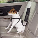 Guardian Gear Ride Right Seat Belt Connectors — Polyester Seat Belt Connectors for Dogs, Black