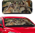 Dinosaur Windshield Sunshade for Car SUV Truck Foldable Uv Ray Reflector Front Window Sun Shade Visor Shield Cover -59" X 31"