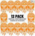 Chemical Guys Hanging Air Fresheners - Tropical Eruption for Cars, Trucks, SUVs, RVs, Home, Office, Work, Dorm Room, & More - 12 Pack - AIR42504