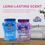 Clorox Fraganzia Crystal Beads Air Freshener, Long Lasting Room Deodorizer and Odor Eliminator Gel Beads to Freshen Home, Car, or Office, Lavender with Eucalyptus Scent, 12 Fl Oz - 12 Pack