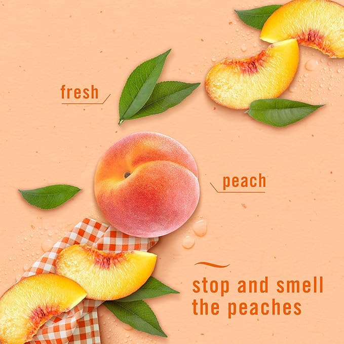 Febreze Small Spaces Air Freshener, Odor-Fighting, Plug In Alternative, Air Fresheners for Home and Bathroom and Kitchen, Closet Air Fresheners, Lilac Sunrise and Juicy Summer Peaches Scent, 4 Count