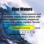 Car Vent Clips Air Freshener Stealth Stix Car Vent Clips that Slip on Vent Blade, 4-Pack/16-Stix (Blue Waters)