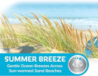 Refresh Your Car! 4.5 OZ Air Freshener (Summer Breeze Scent, 1 Pack)
