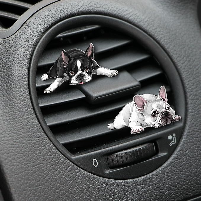 WIRESTER Fresh Scented Car Air Freshener Vent Clip, Decorative Accessories, Interior Decoration for Cars
