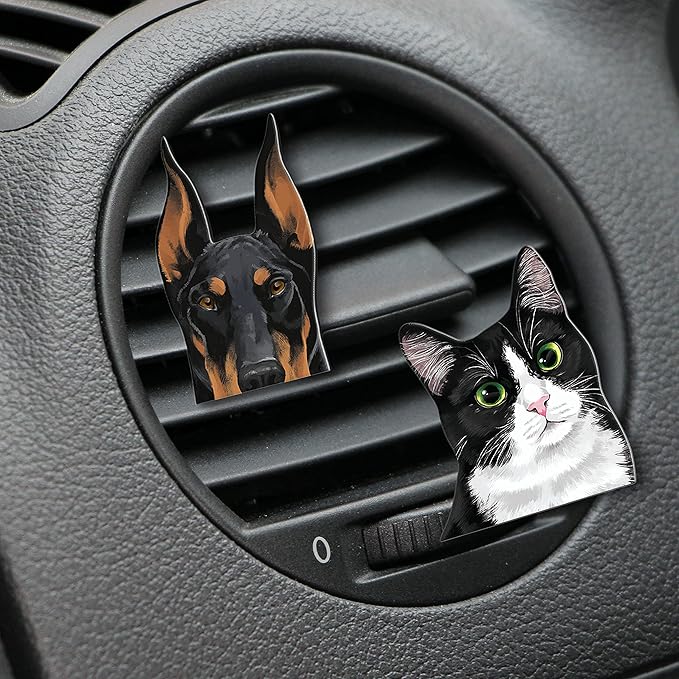 WIRESTER Fresh Scented Car Air Freshener Vent Clip, Decorative Accessories, Interior Decoration for Cars