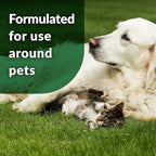 Simple Green Outdoor Odor Eliminator for Pets, Dogs, 1 gallon Refill - Ideal for Artificial Lawns & Patio, Milky White (Pack of 2)