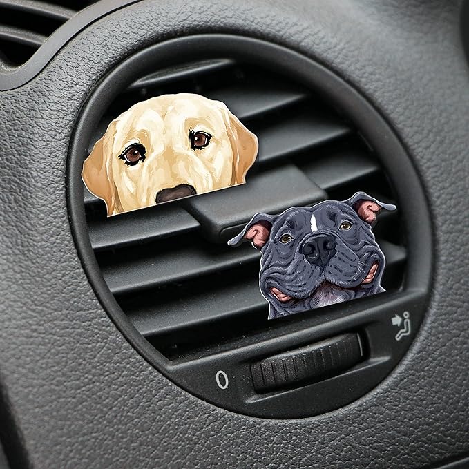 WIRESTER Fresh Scented Car Air Freshener Vent Clip, Decorative Accessories, Interior Decoration for Cars