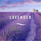 Febreze 300 ml Lavender Air Freshener Spray - Pack of 6