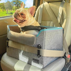 PETSFIT Dog Car Seats for Small Dogs – Patented Safety Buckles – Safety Tether – Foldable Travel Dog Booster Car Seat Reduces Anxiety & Road Trips – Stable Frame, Soft Cushion, Fits Front/Back Seat