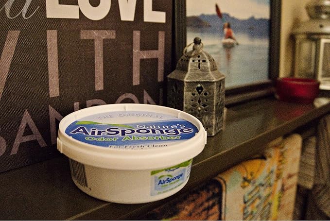 Delta Nature's Air Sponge Odor Absorber Unscented Plastic Tub 1/2 Lb.