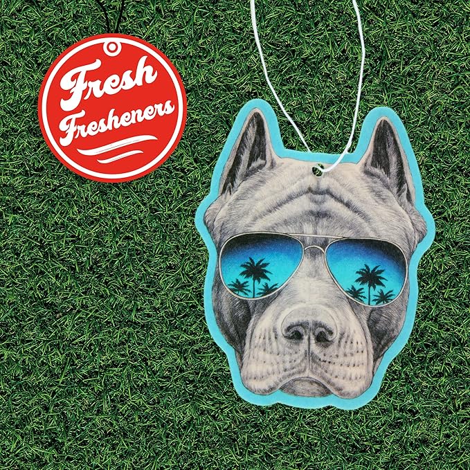 Air Freshener Scented With Essential Oils By Fresh Fresheners (Pit Sunnies)