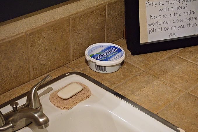 Delta Nature's Air Sponge Odor Absorber Unscented Plastic Tub 1/2 Lb.