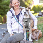 Kurgo Tru-Fit Smart Dog Walking Harness - Comfortable Fit - Adjustable Harness - Reflective Pet Wear - Quick Strap Release - Daily Walk Accessory - Includes Seat Belt Loop - Grey - X-Small